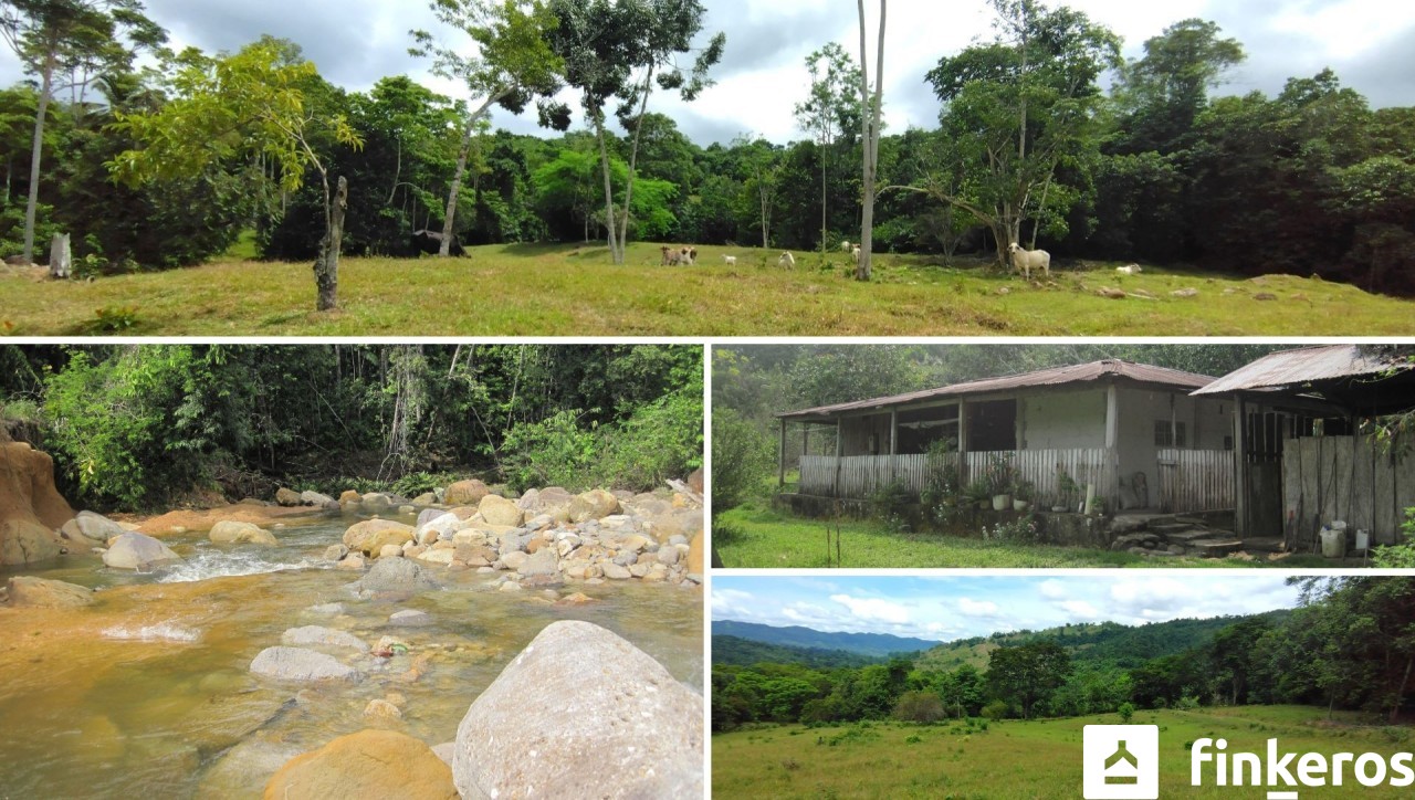 Los Abarcos – finca en venta en Betulia, Santander